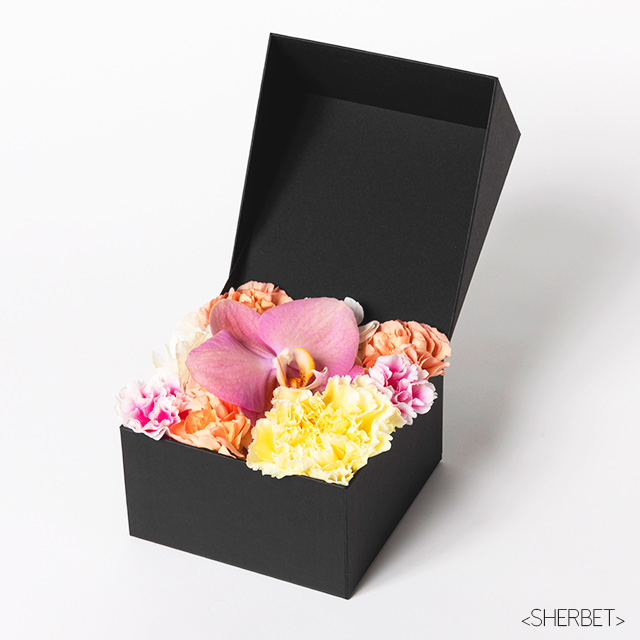 Jewelry Box -Sincerely-