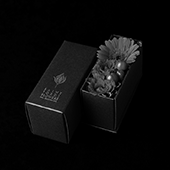 Saint Jordi Box Preserved flower