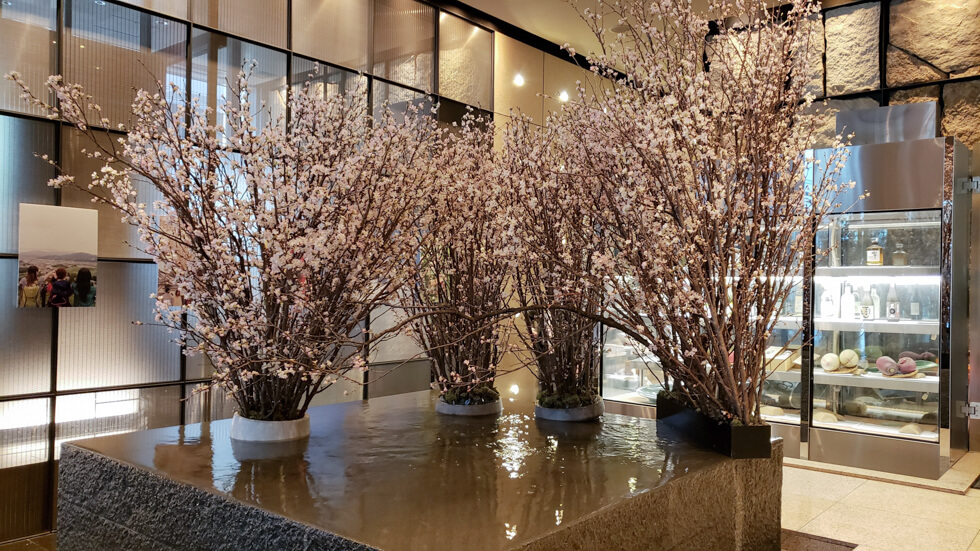 桜の空間装飾